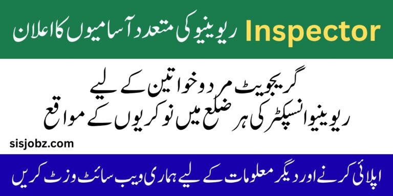 Enforcement and Revenue Inspector Jobs