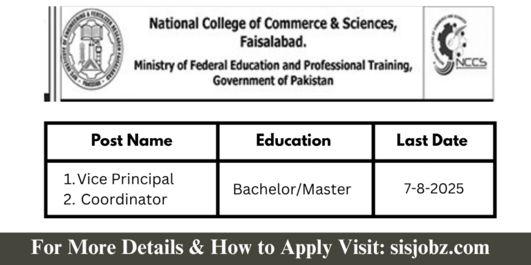 National College of Commerce & Sciences Faisalabad Jobs 2025