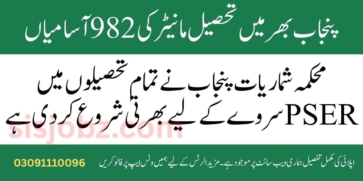 Tehsil Monitor Jobs 2025 in Bureau of Statistics Punjab